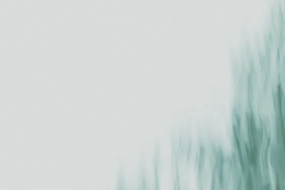 Casino Wild Tornado Supporto